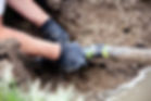 Sewer line repair and excavation work