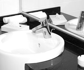 Leak detection and water line repair